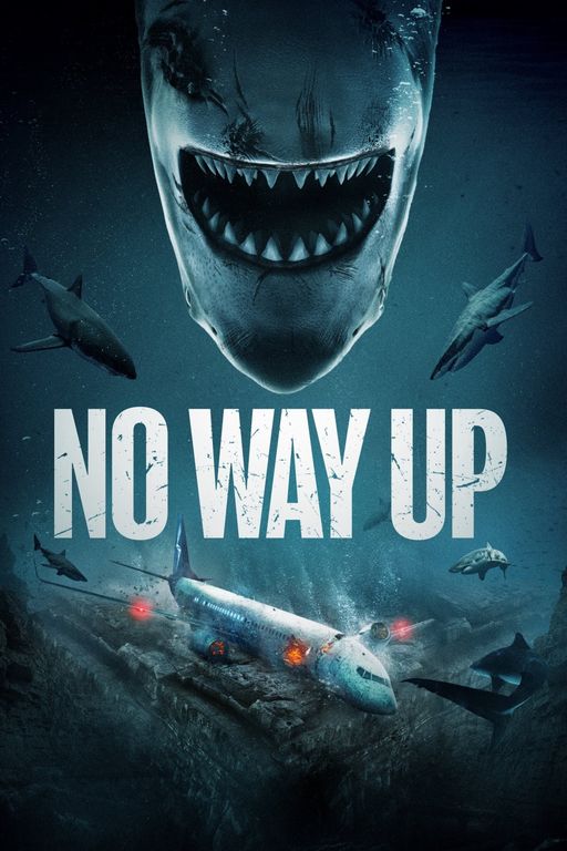 Poster for No Way Up