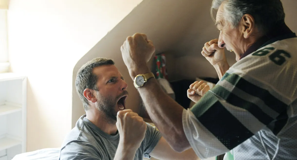 Silver Linings Playbook