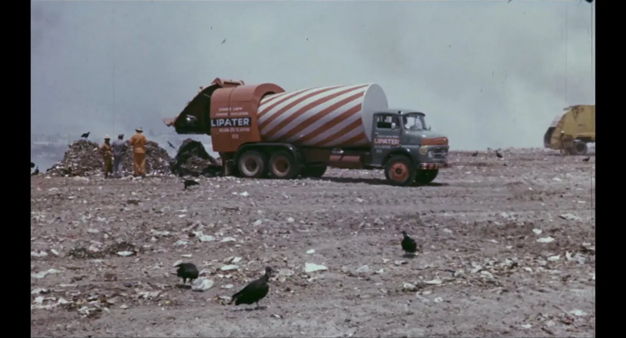 Pollution