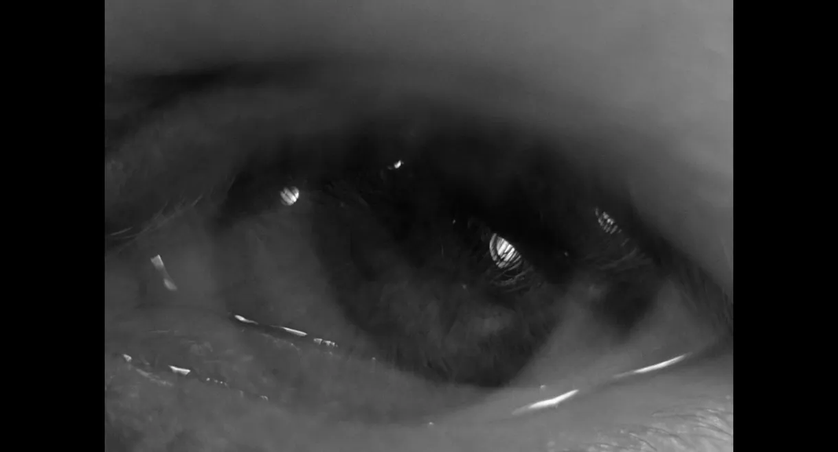 Ingmar Bergman's eye