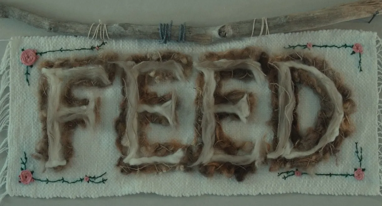 Feed