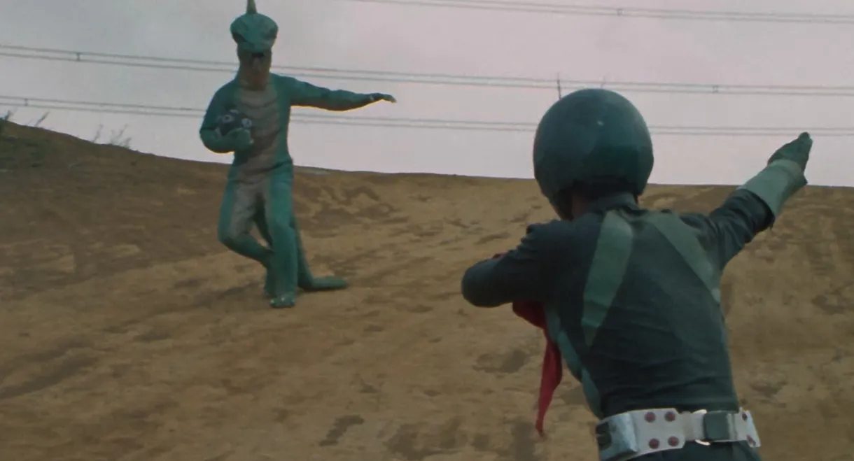 Go Go Kamen Rider