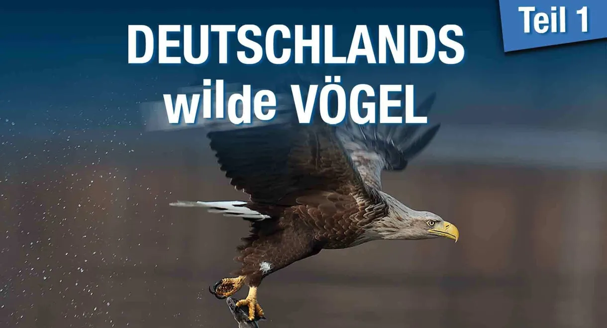 Deutschlands wilde Vögel