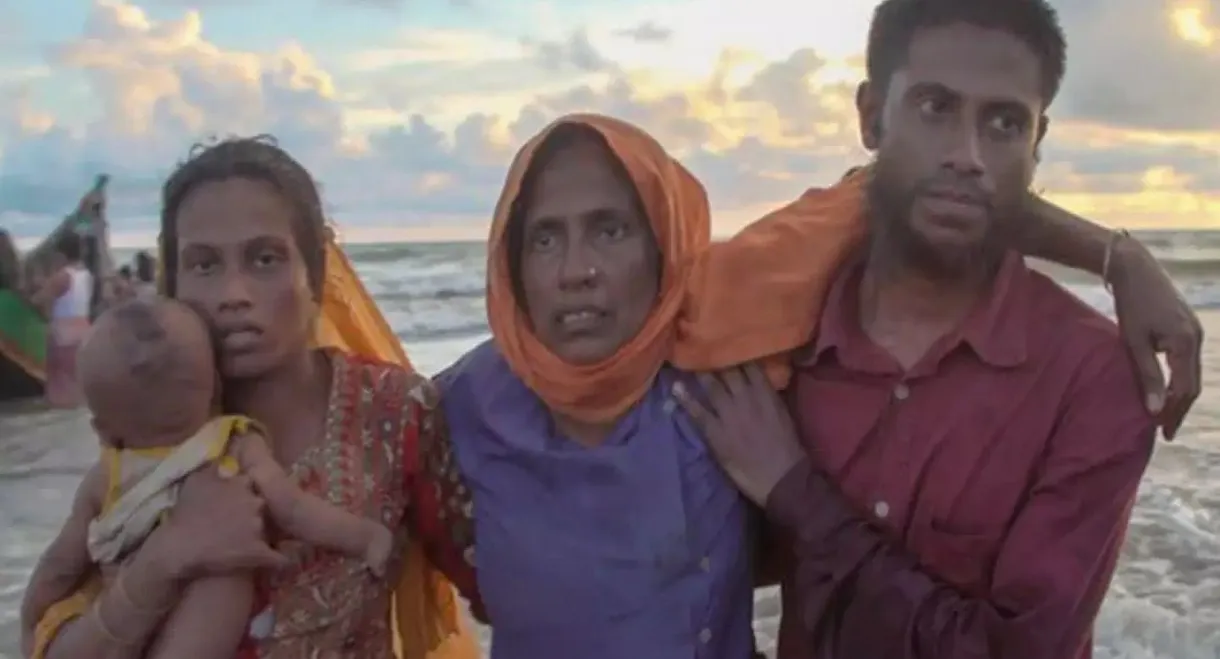 Rohingya, la mécanique du crime