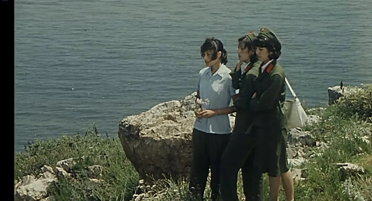 小岛