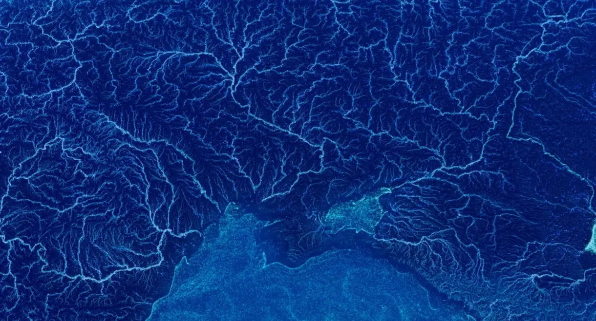 Water Body