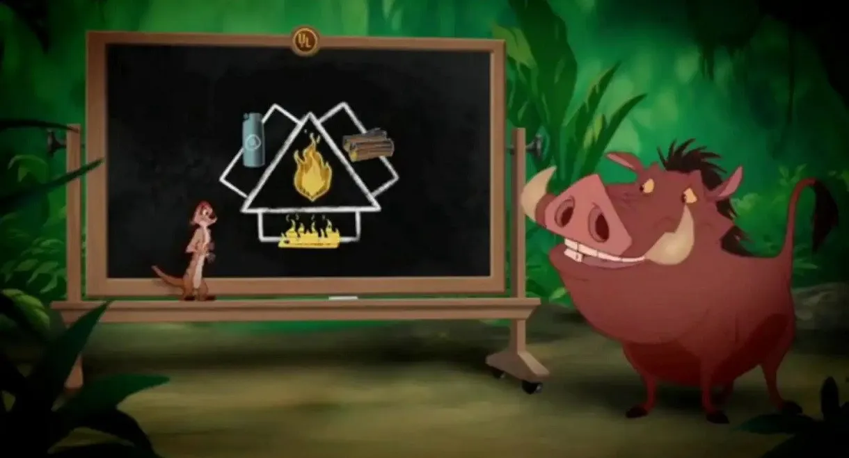Wild About Safety: Timon and Pumbaa Safety Smart About Fire