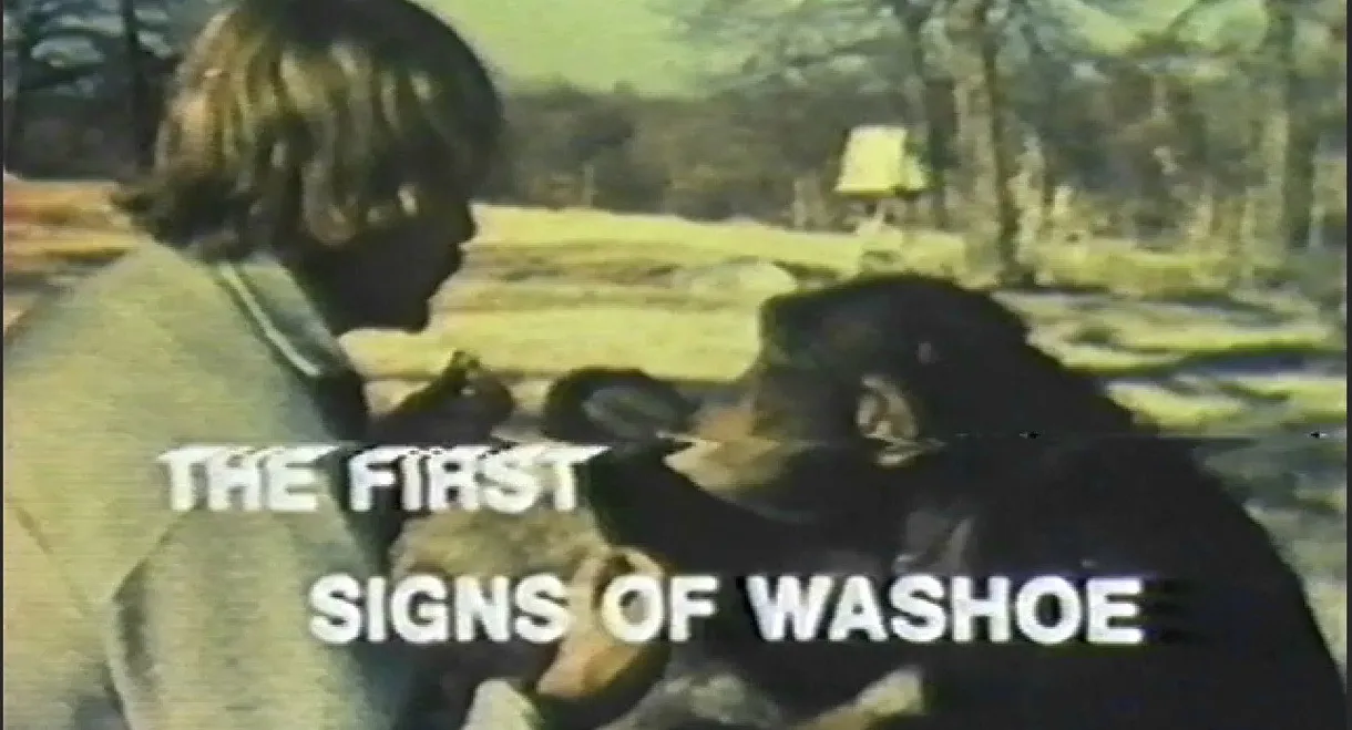 The First Signs of Washoe