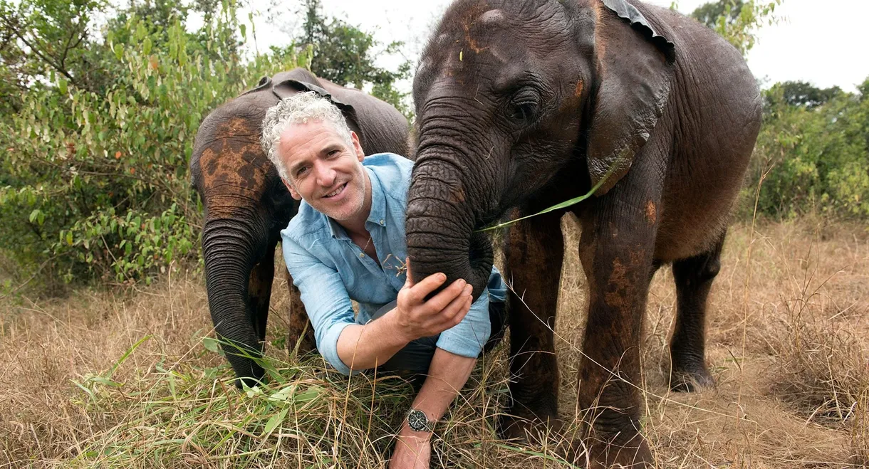 Gordon Buchanan: Elephant Family & Me