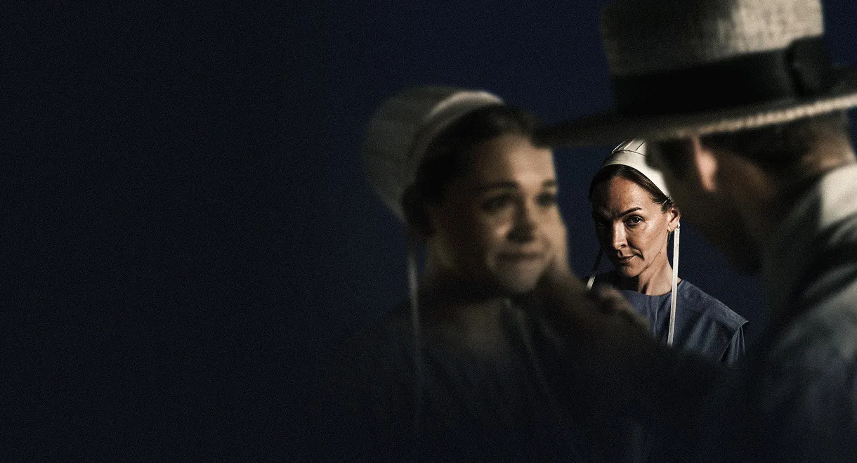 Seduced by an Amish Stranger