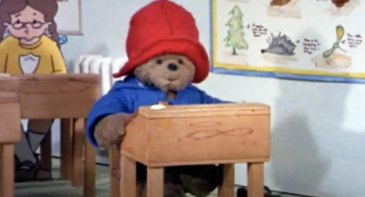 Paddington Goes to School