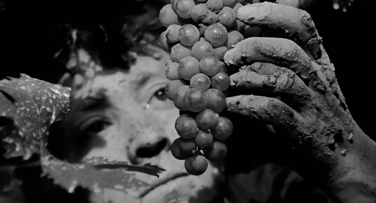 Galician Caress (of Clay)