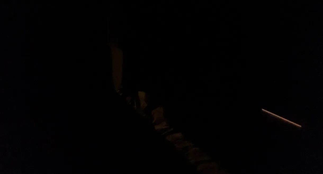 Sleeping Dreams