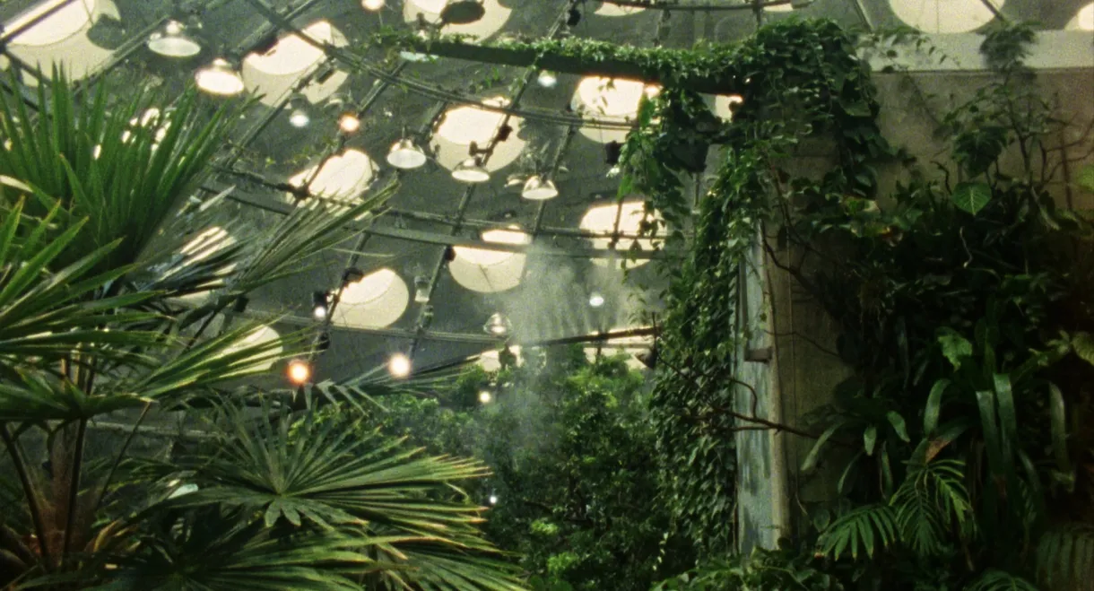 Tropical Fractals