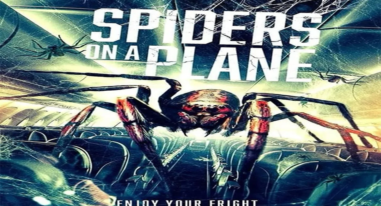 Spiders on a Plane