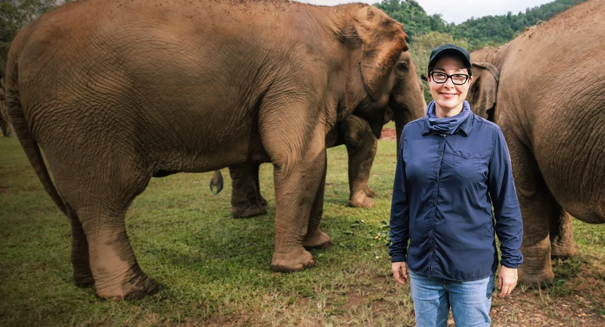 Sue Perkins: Lost in Thailand