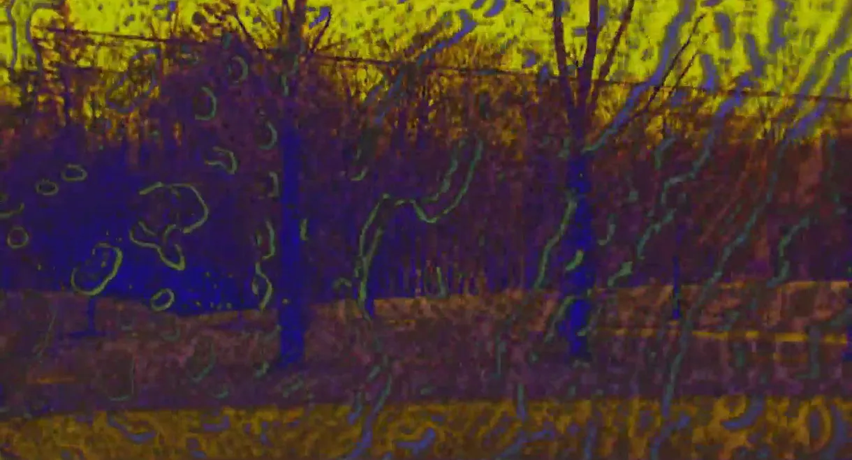 Joose Psychedelia Test