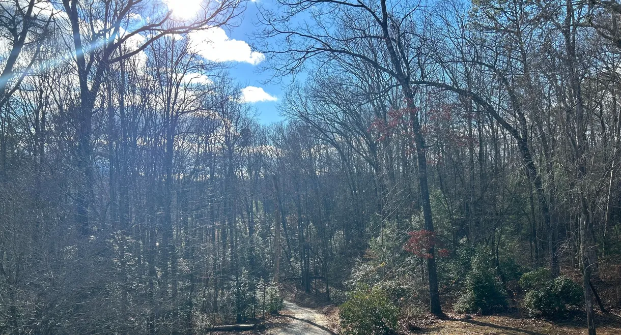 Clausible Deniability