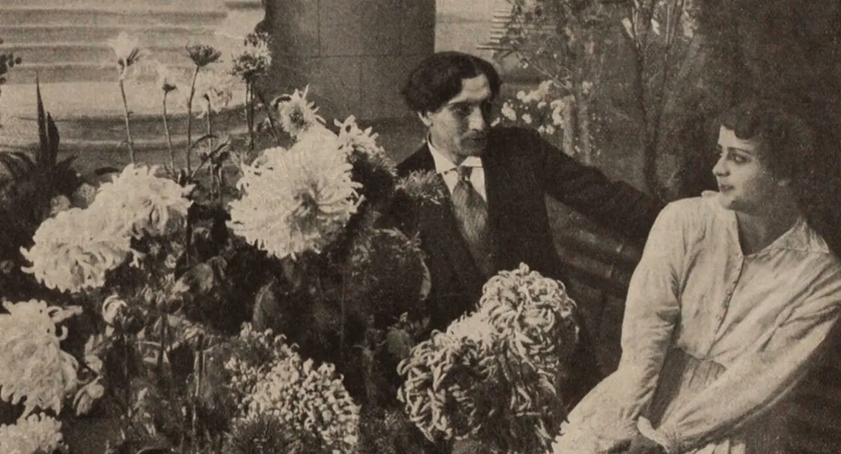 Long Gone are Chrysanthemums in a Garden