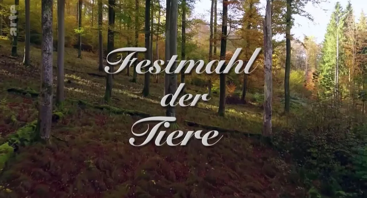 Festmahl der Tiere