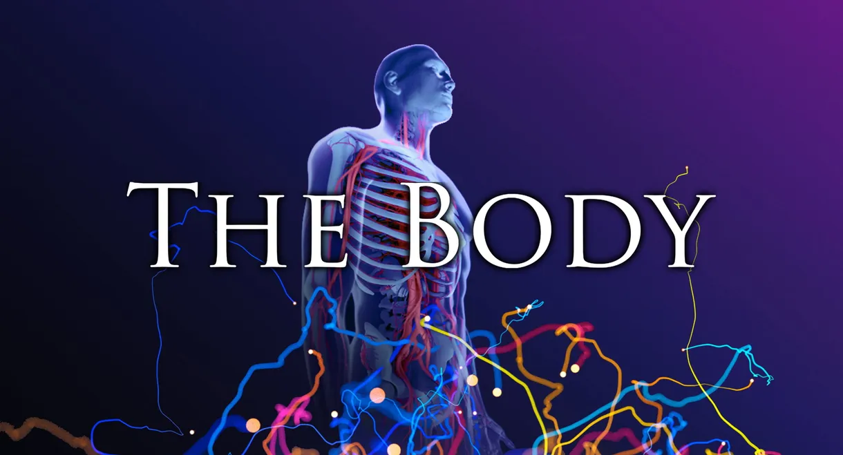 The Body