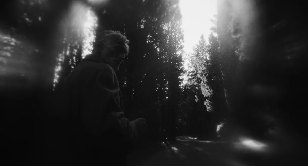 Noi