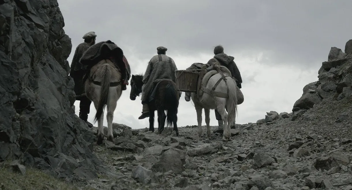 The Mountain Tears