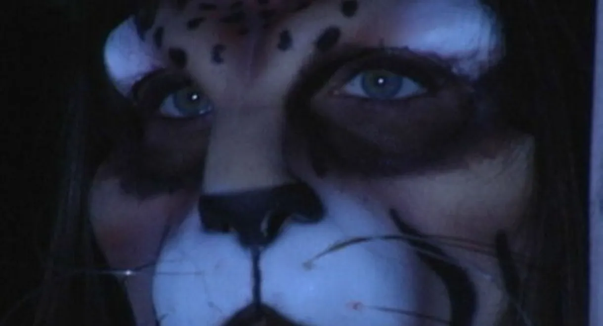 WildCat