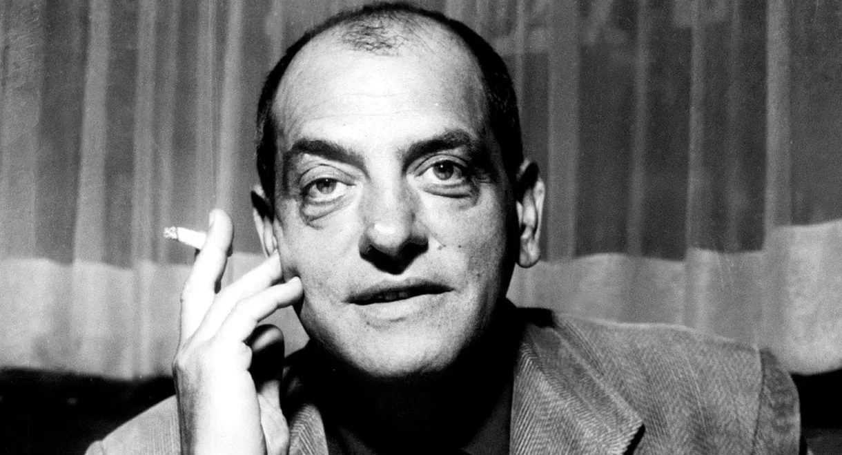 Discovering Buñuel