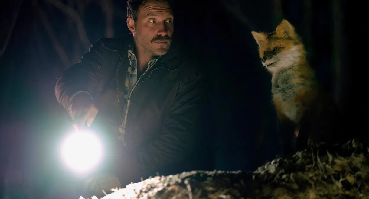 The Fox