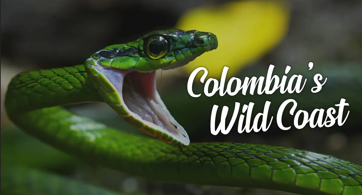 Colombia's Wild Coast