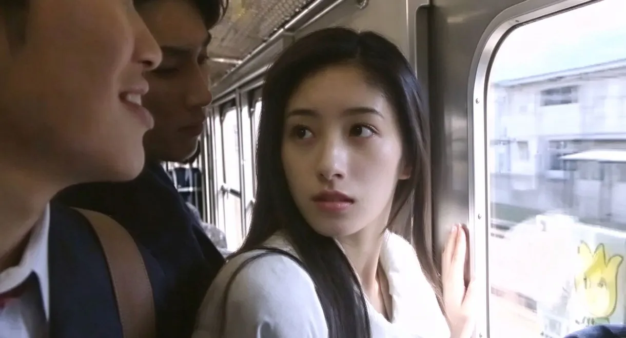 揺れる電車の中で~痴漢に暴かれた女教師の性~
