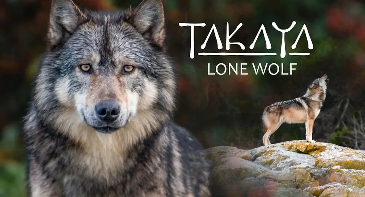 Takaya, Lone Wolf