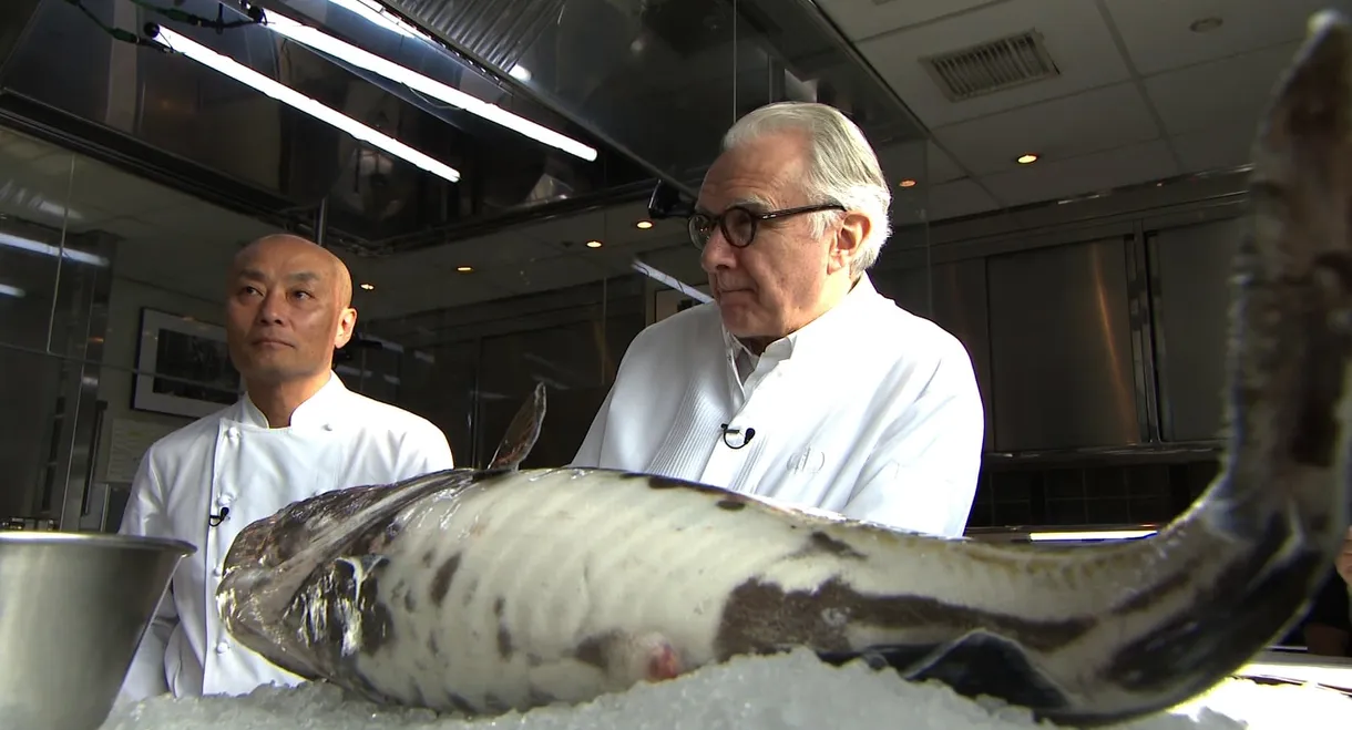 Alain Ducasse, Japanese Cuisine Par Excellence