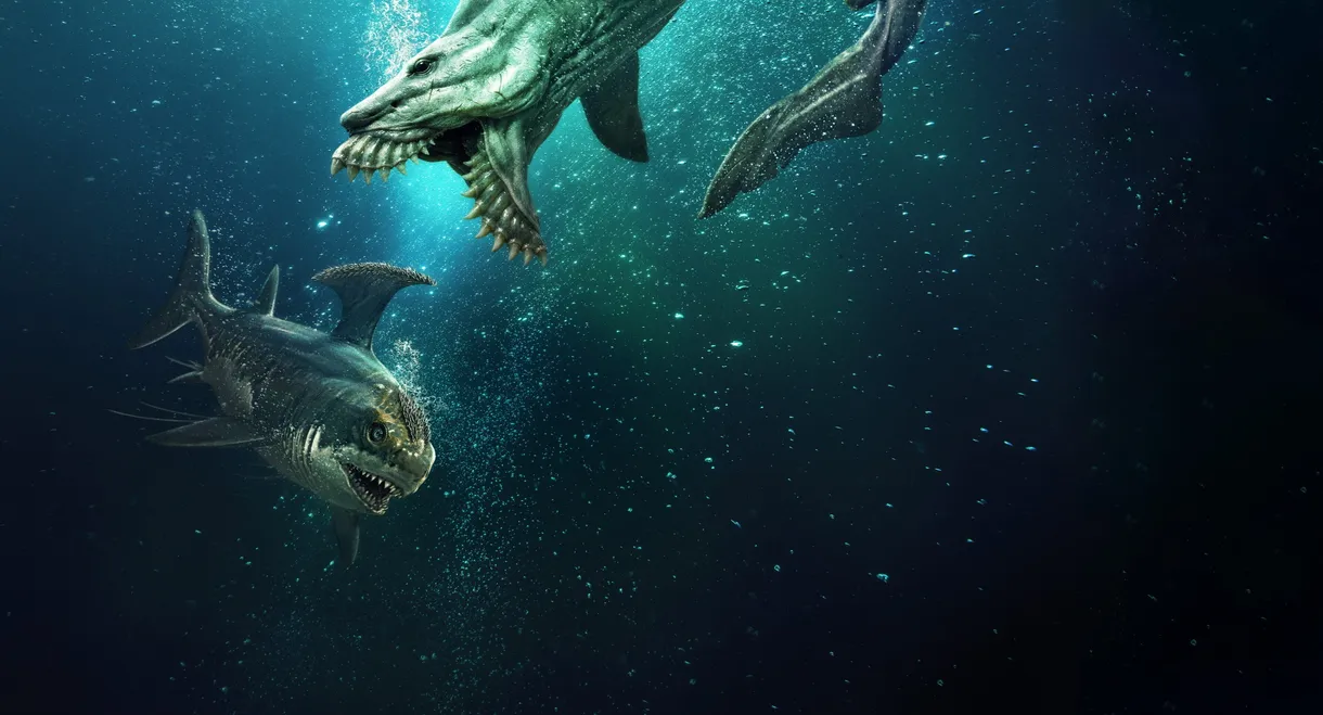 Jurassic Sharks