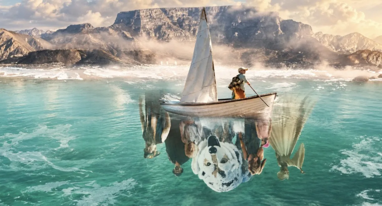 Silas and the Polar Bear on Table Mountain