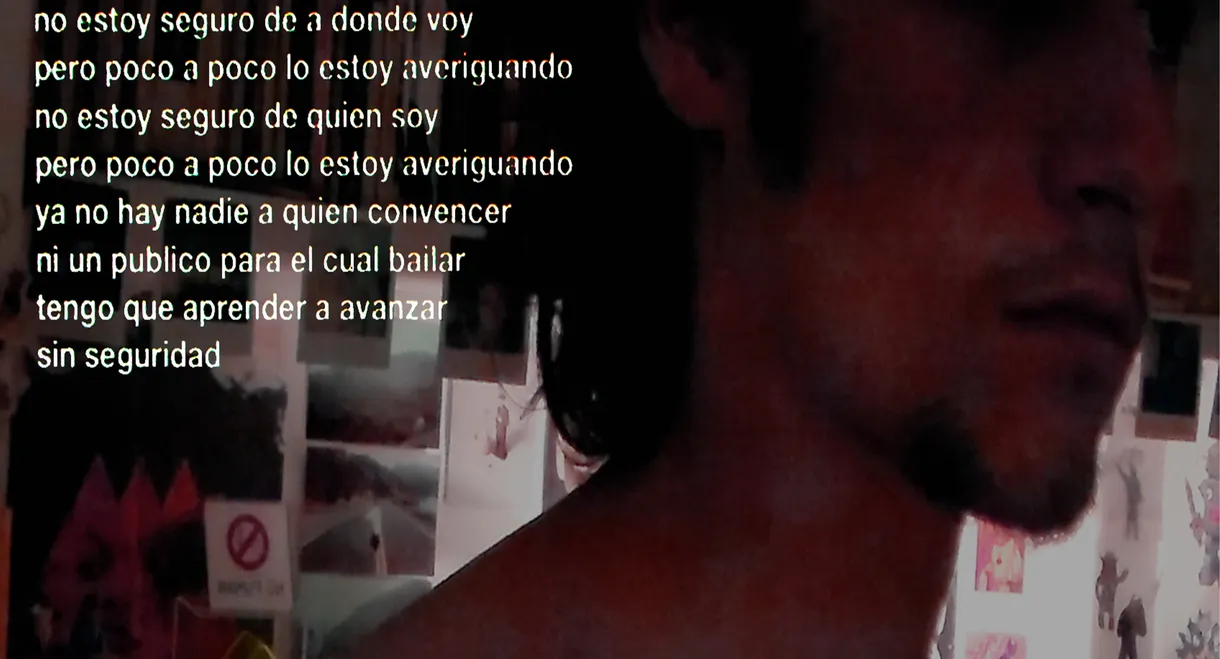 video diario