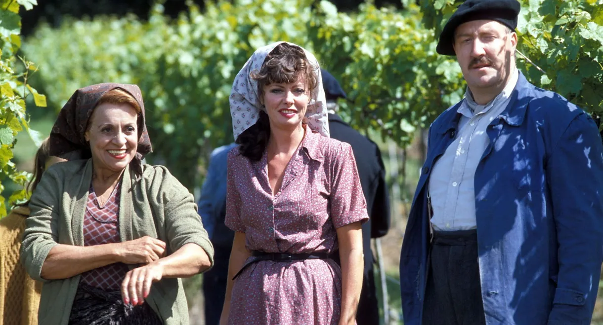 'Allo 'Allo!
