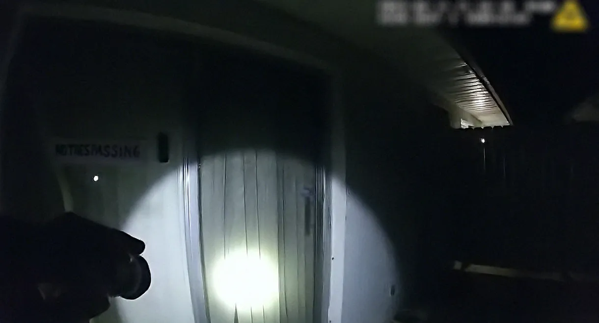 The Perfect Neighbor