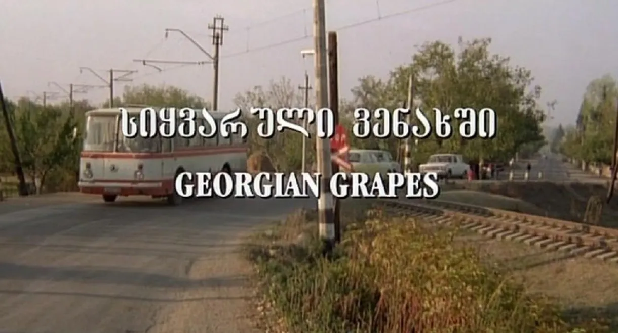 Georgian Grapes