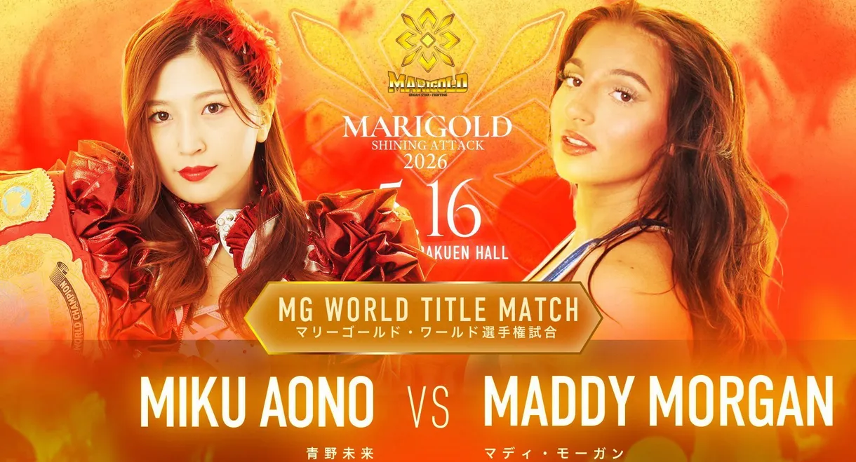 Marigold Shining Attack 2026 ~ Day 7