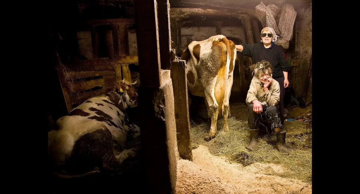 Women with Cows