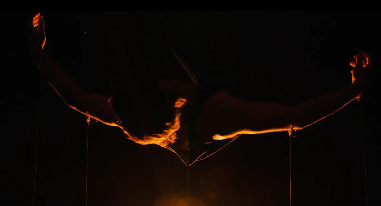 The Dancer