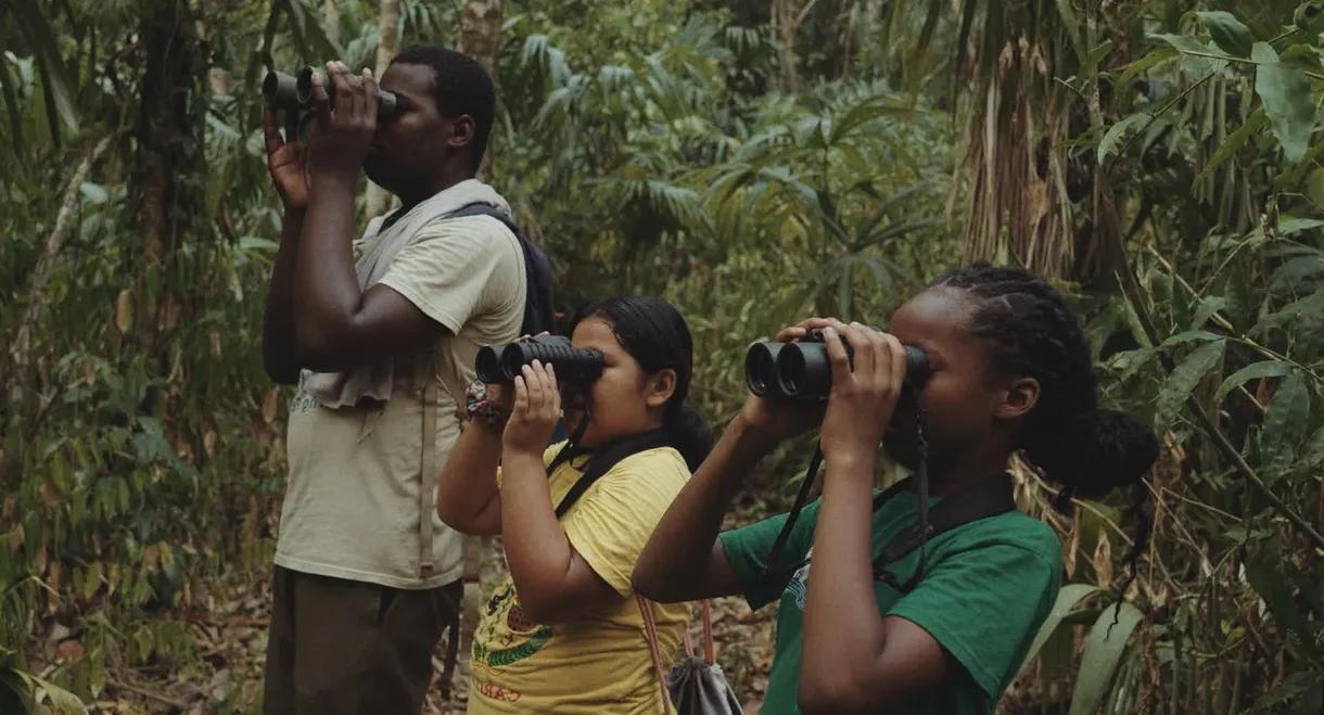 The Mayan Forest: When a Tapir Gazes Upon You
