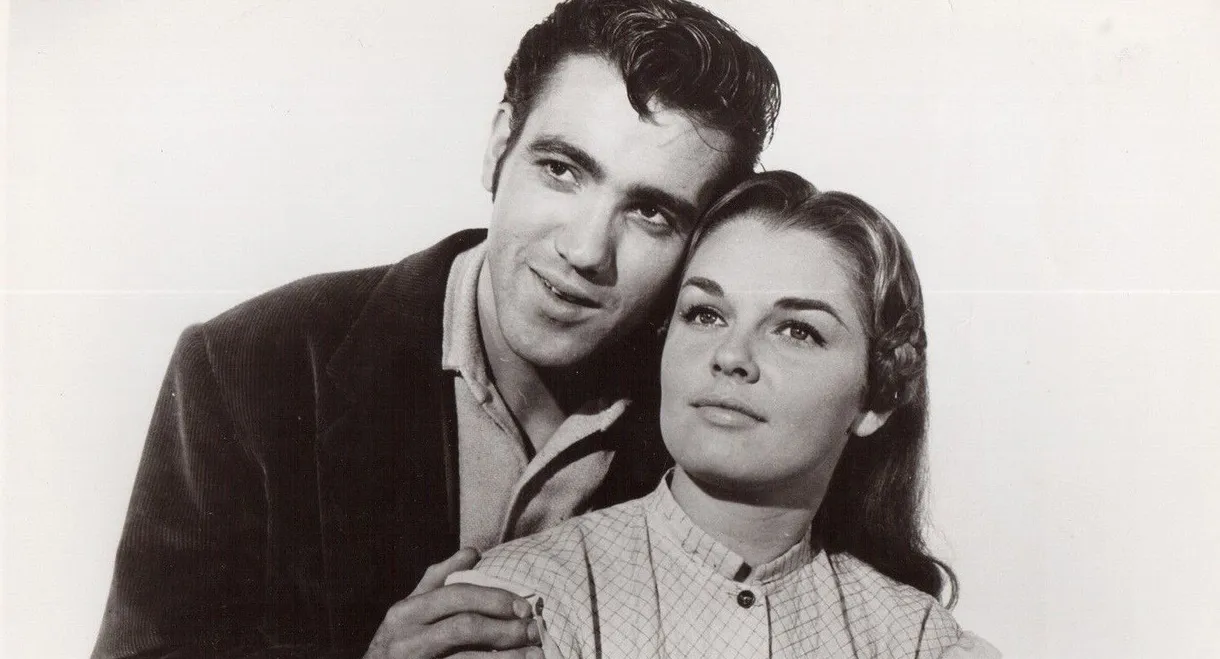 The Little Shepherd Of Kingdom Come