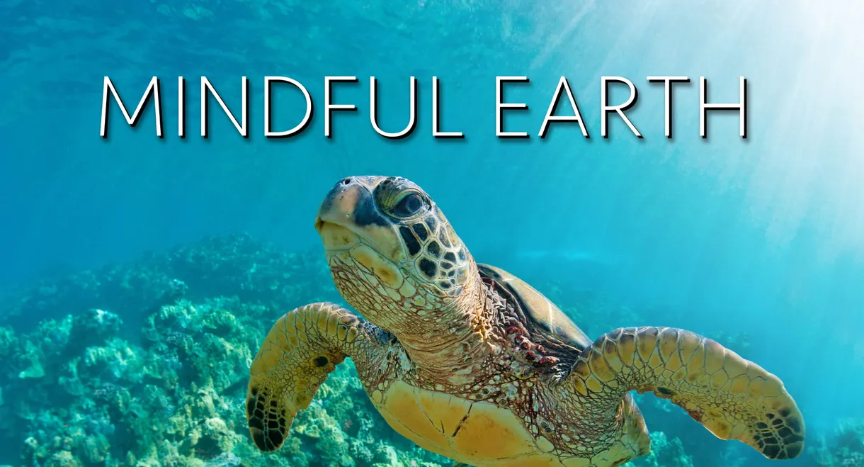 Mindful Earth