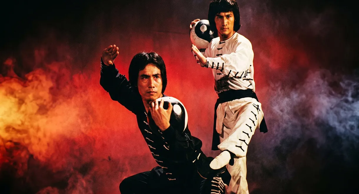 Tai Chi Shadow Boxing