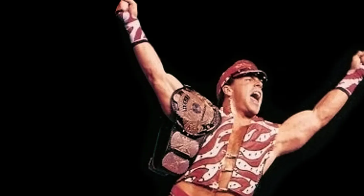 WWE SummerSlam 1996