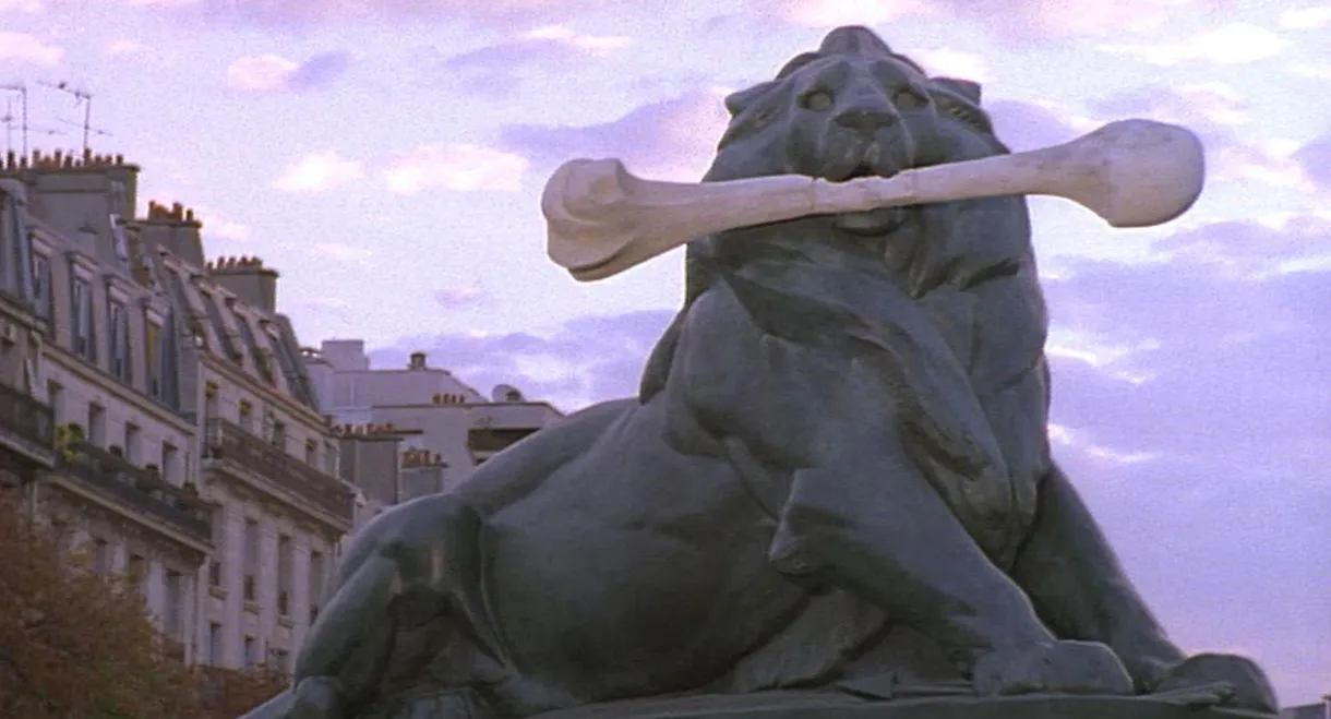 The Vanishing Lion
