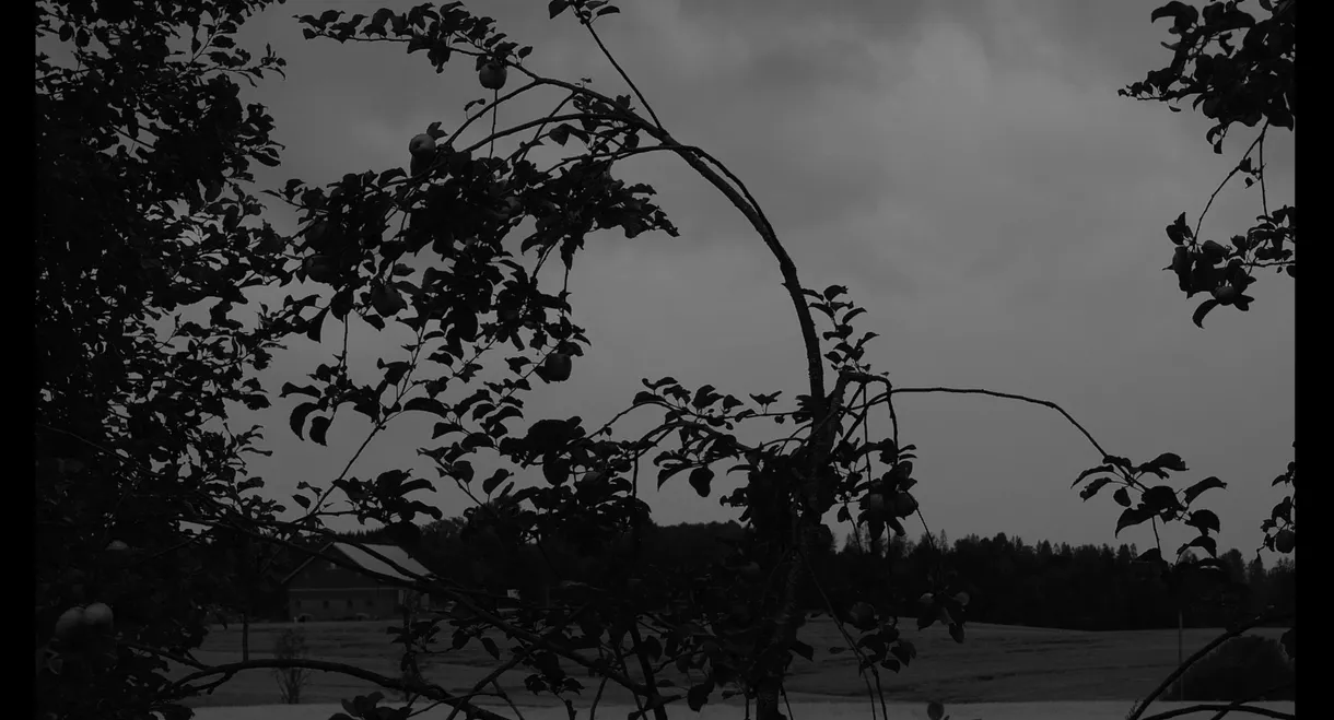 Dasein